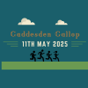 Logo for Gaddesden Gallop