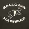 Logo for Galloway Harriers